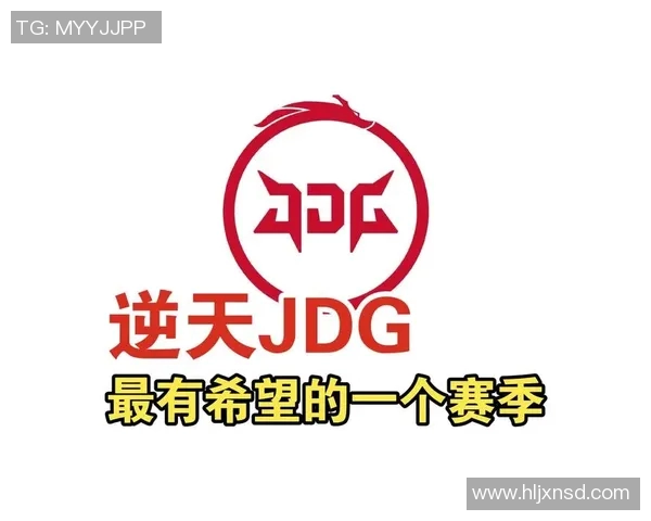 王者荣耀深度解析JDG战队的战术转型与成功之路